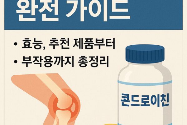 콘드로이친 완전가이드