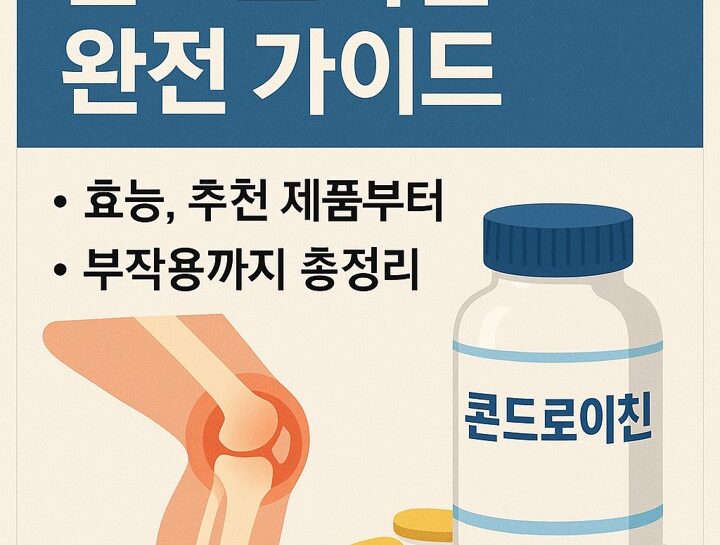 콘드로이친 완전가이드