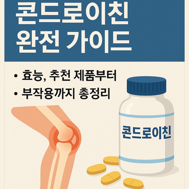 콘드로이친 완전가이드