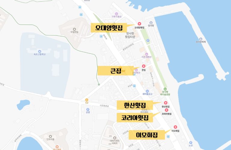 속초 장사항 횟집 어디갈까? 현지 인기 모범음식점 5곳 비교 가이드