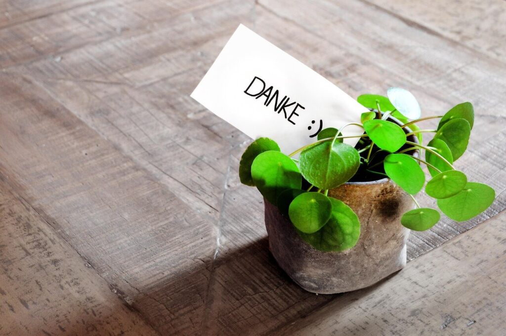 화분위에 Danke 글자가 적혀있는 종이가 꽂혀있다