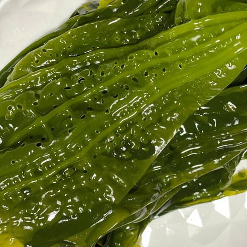 국내산 곰피 추천 완도 생곰피 곰피쇠미역 쌈미역 1kg 이미지
