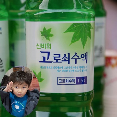 고로쇠물 추천 지리산 효자 고로쇠 수액 산지직송 아이스박스 500ml 10개