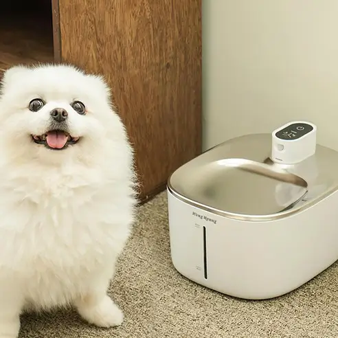 7.콩냥콩냥 강아지 고양이 정수기 무선 자동 급수기 음수대