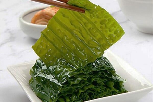 제철 국내산 곰피 추천 TOP10